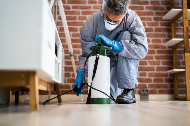 Best Fumigation Services  in Cottonwood, CA